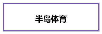 半岛体育