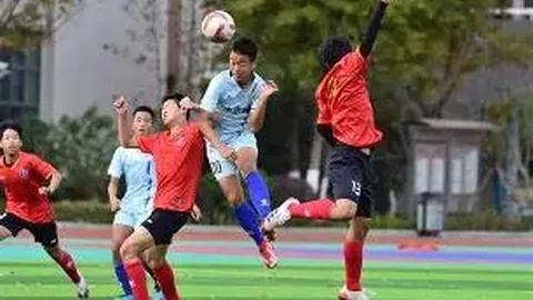 哈兰德梅开二度，维特塞尔助力，多特蒙德6-1横扫沃尔夫斯堡，喜迎30轮胜利